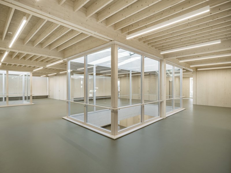 Interior view of glass-walled enclosure beneath exposed timber joists with integrated linear lighting