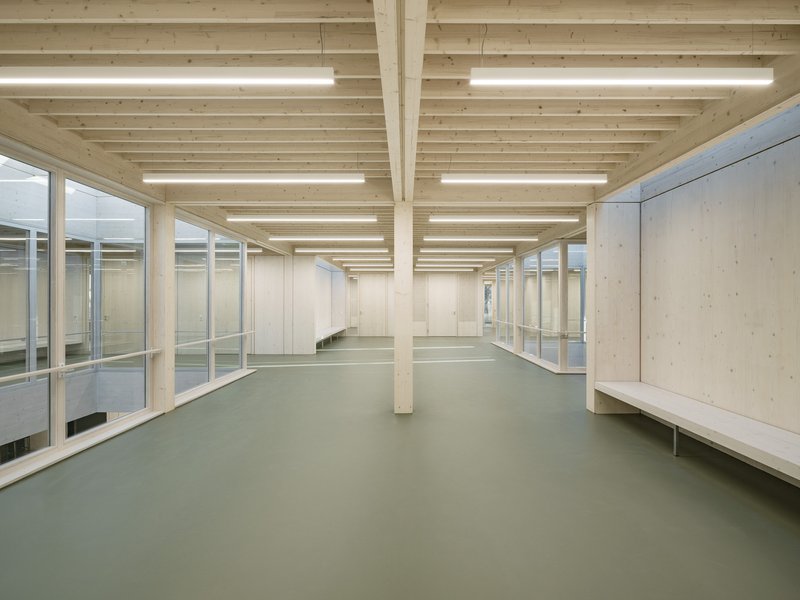 Open floor space with light timber columns and plywood benches under a rhythmic joist ceiling