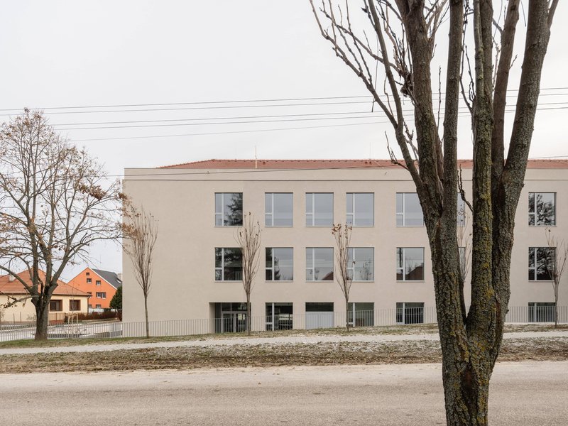 Street view of the cream-colored facade with regular window openings and a moss-covered tree trunk in foreground