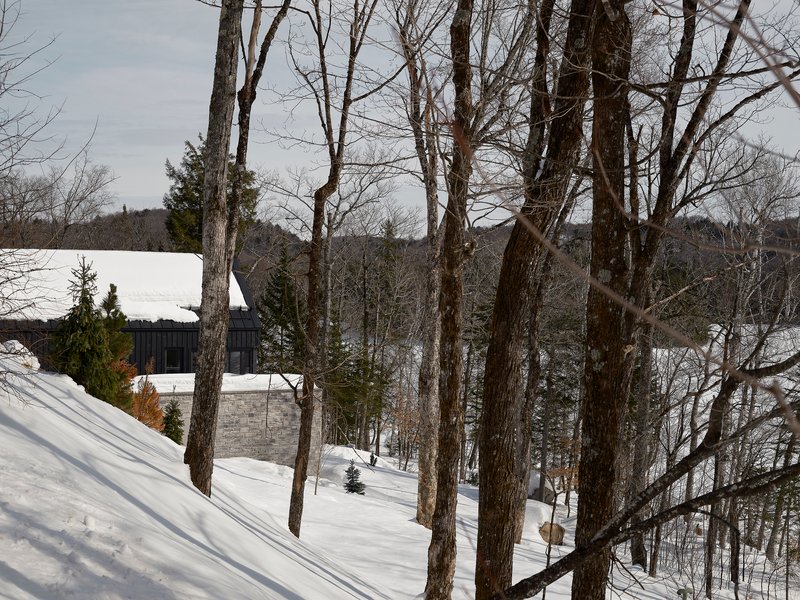 Distant view of stone and timber volumes among bare deciduous trees in a snowy landscape