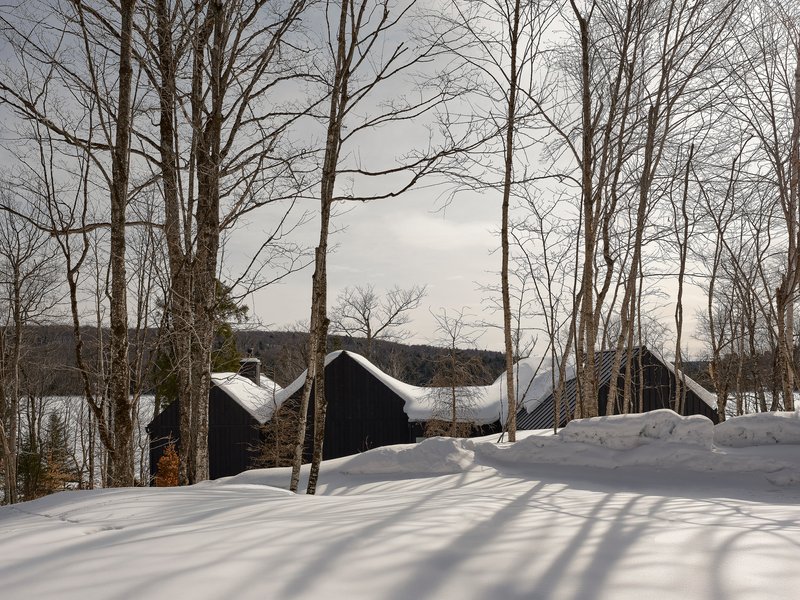 Three gabled volumes clad in dark vertical siding emerging from deep snow among bare trees