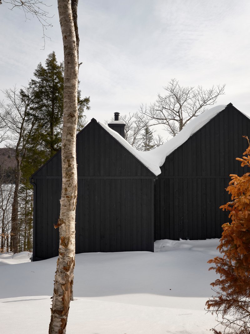 Dark timber clad gabled facades with snow covered roof viewed through birch trees in winter