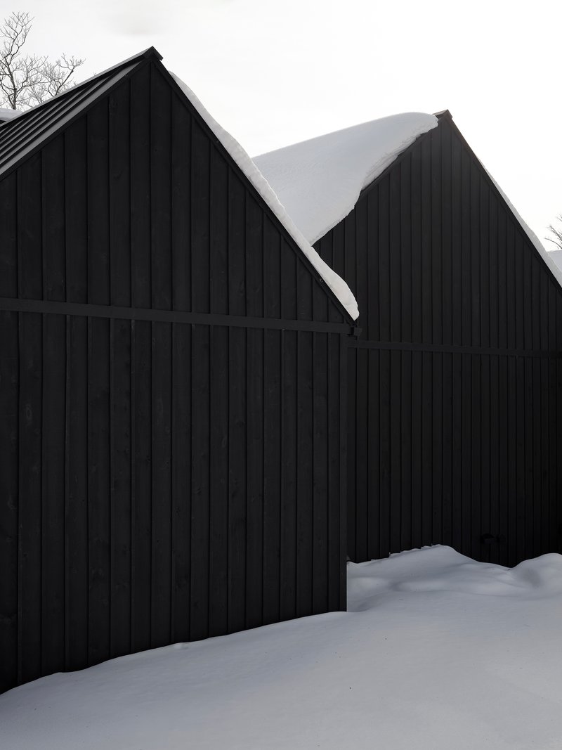Two overlapping gable forms clad in black vertical siding with snow-laden roofs against bare branches