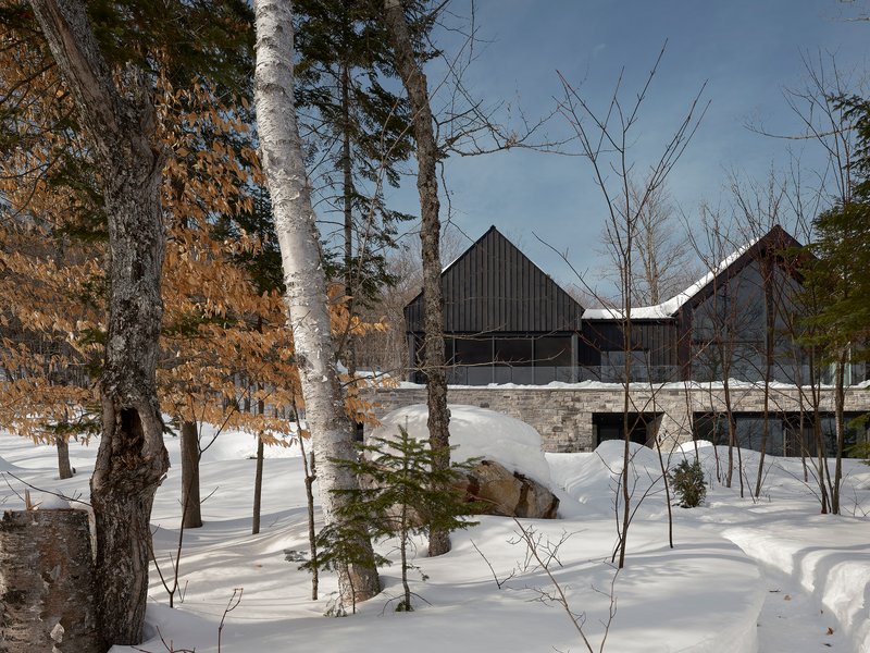 Cluster of gable structures with stone base walls visible through birch and conifer forest in snow