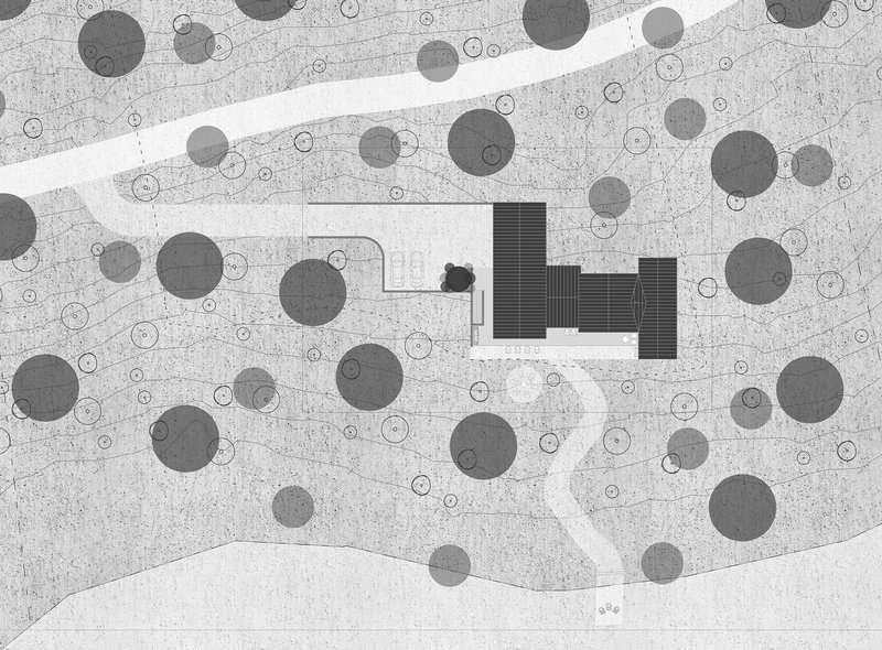 Site plan drawing showing the building footprint among circular tree canopies and a curving access path