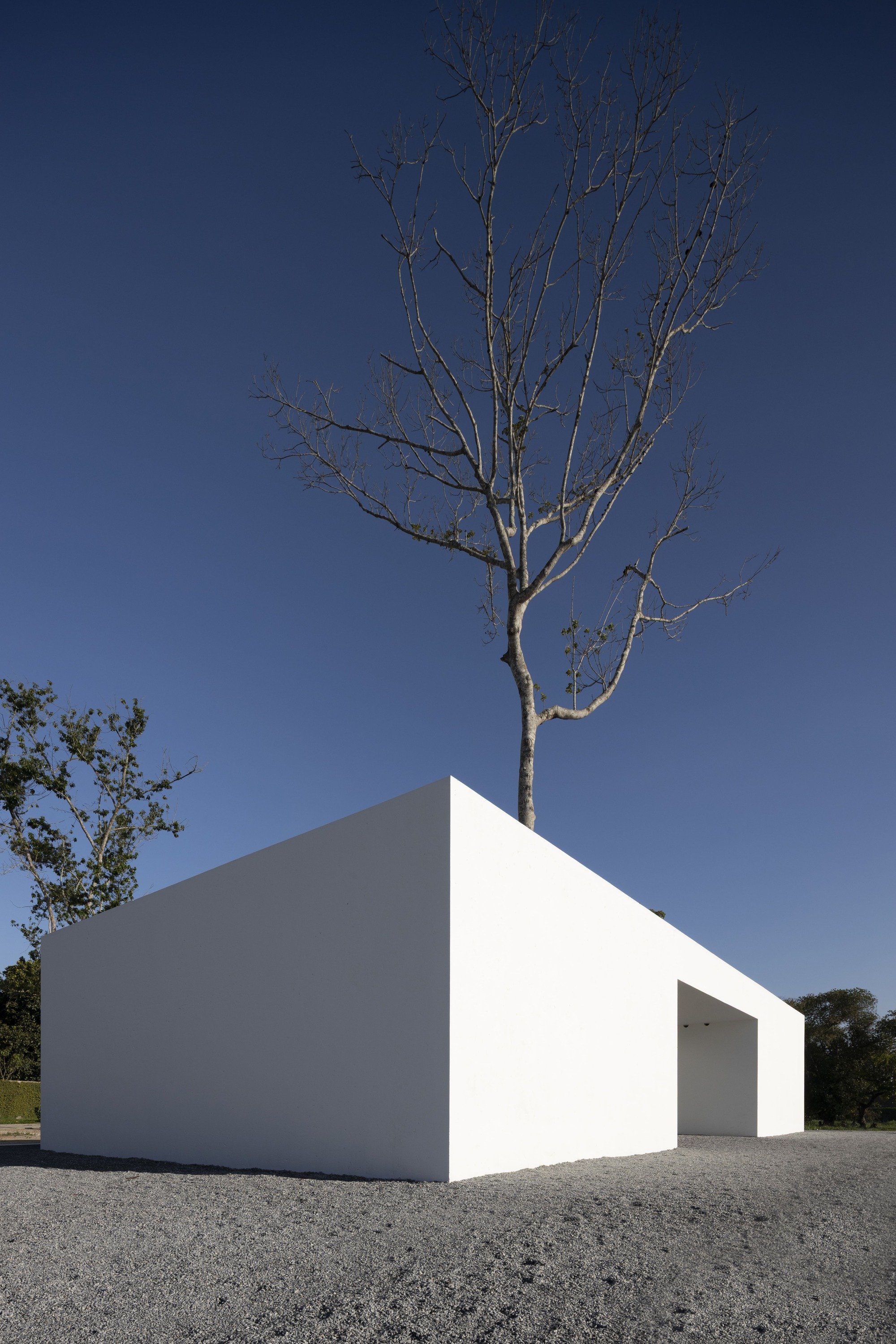 NEBR Arquitetura Builds a White House Around a Tree in Pernambuco's Zona da Mata