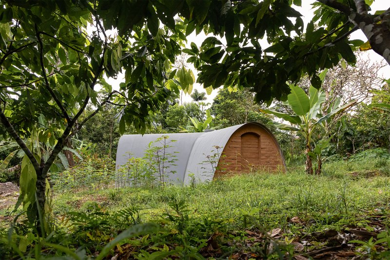 Oblique view of the timber end wall and curved metal roof amid grasses and tropical trees