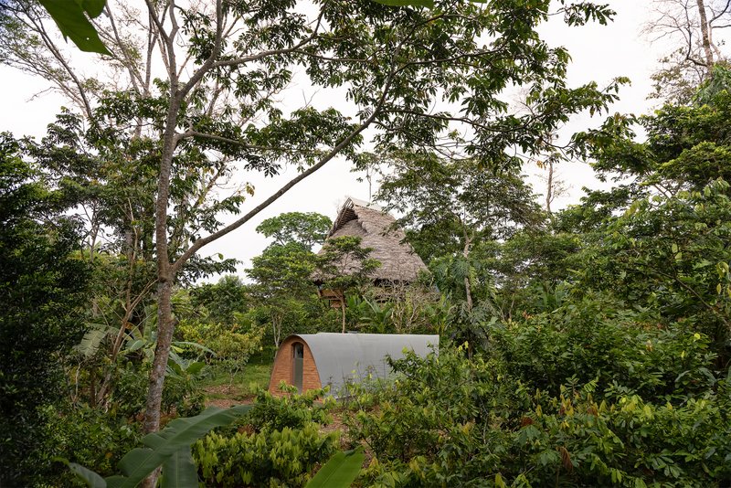Barrel-vaulted volume with timber end wall emerging from the jungle canopy