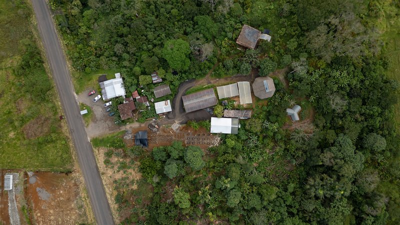 Aerial view of barrel-vaulted structures clustered in a forest clearing beside a road