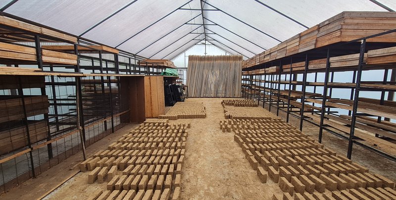 Interior of greenhouse with timber shelving and rows of clay bricks drying on the floor