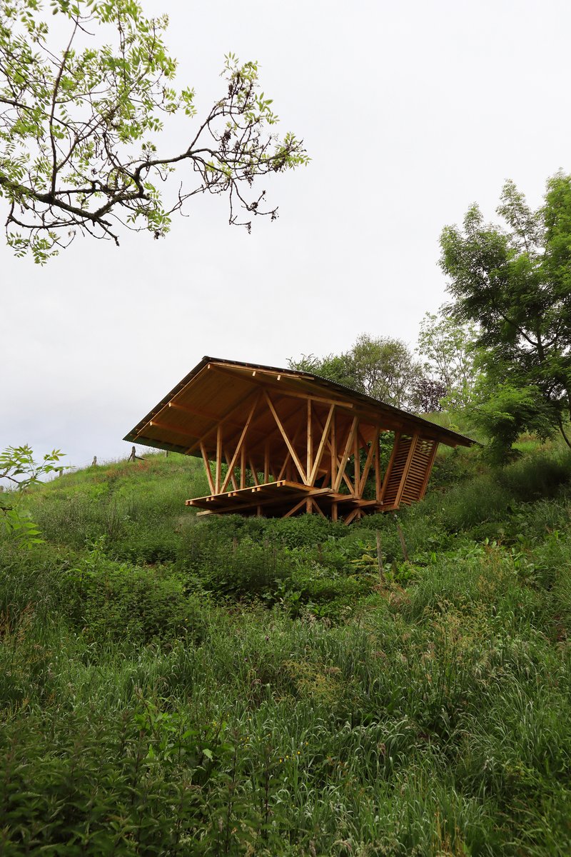 Open timber pavilion with diagonal branch-like columns and slatted walls on a hillside beneath spring foliage