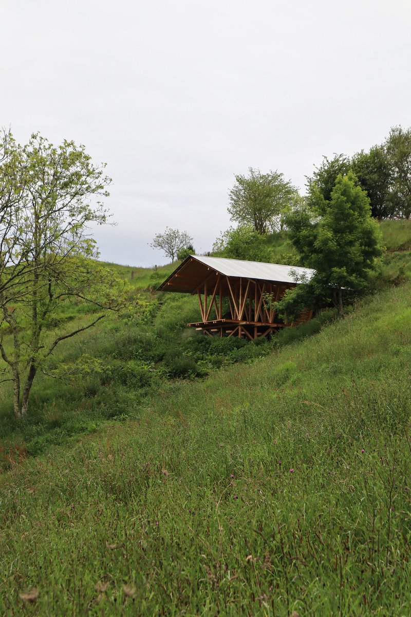 Diagonal view of the timber structure with metal roof nestled into the terraced grassy hillside among scattered trees