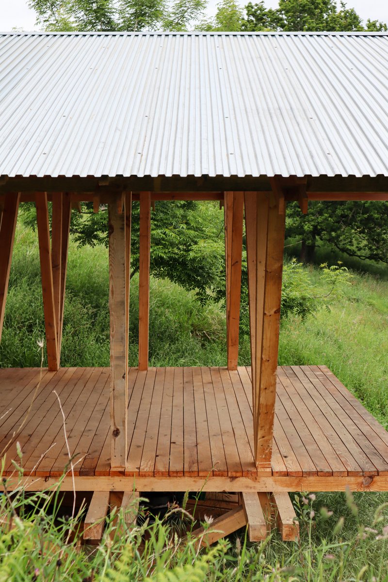 Elevated timber pavilion with corrugated metal roof and branching wood columns over grassy meadow