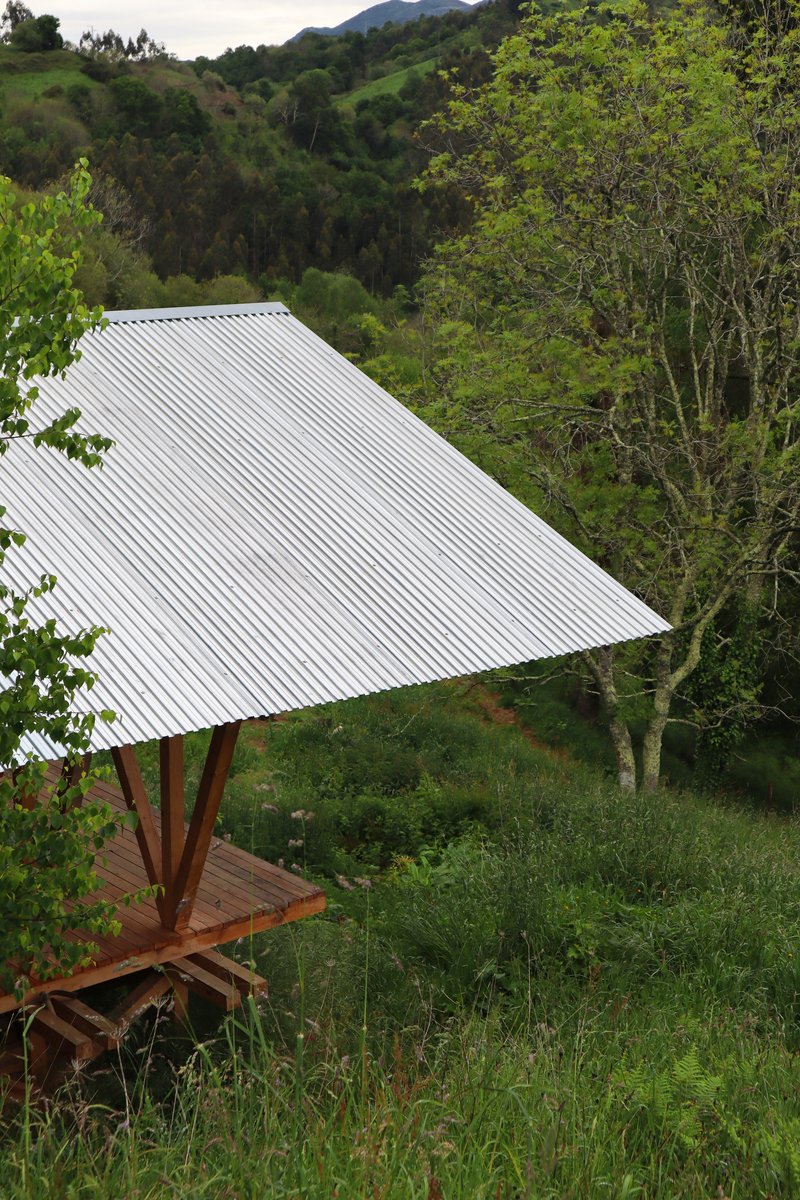 Corrugated metal roof supported by branching timber columns on a hillside with dense vegetation