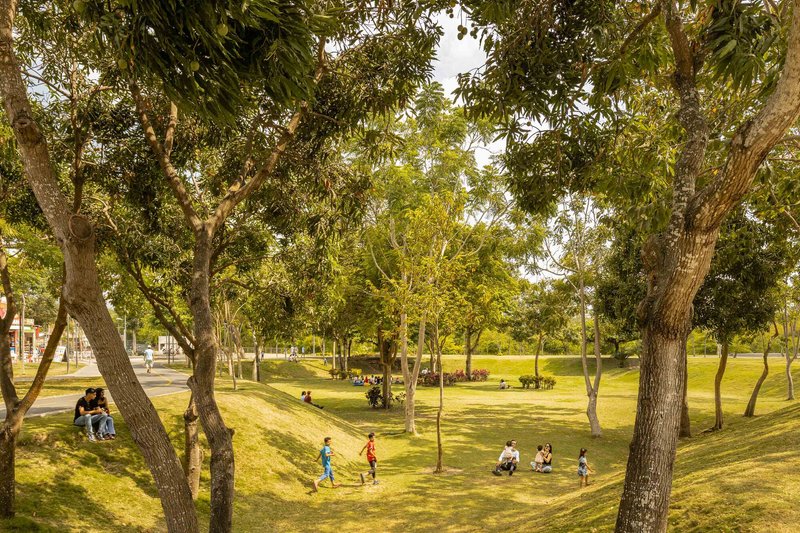 Sloped parkland with children playing among scattered trees in late afternoon sunlight