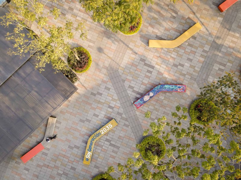 Top-down view of a paved plaza with circular tree planters and curved bench seating in afternoon light