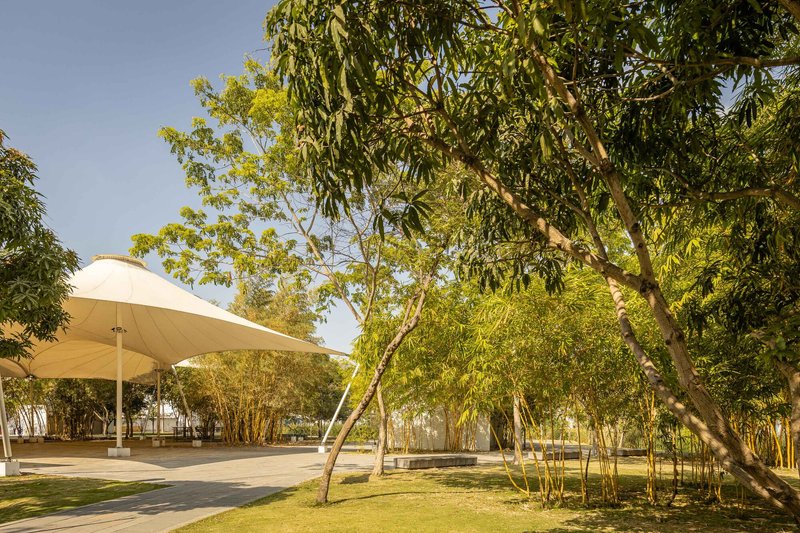 View of a curved canopy structure beside clusters of bamboo and deciduous trees under clear sky