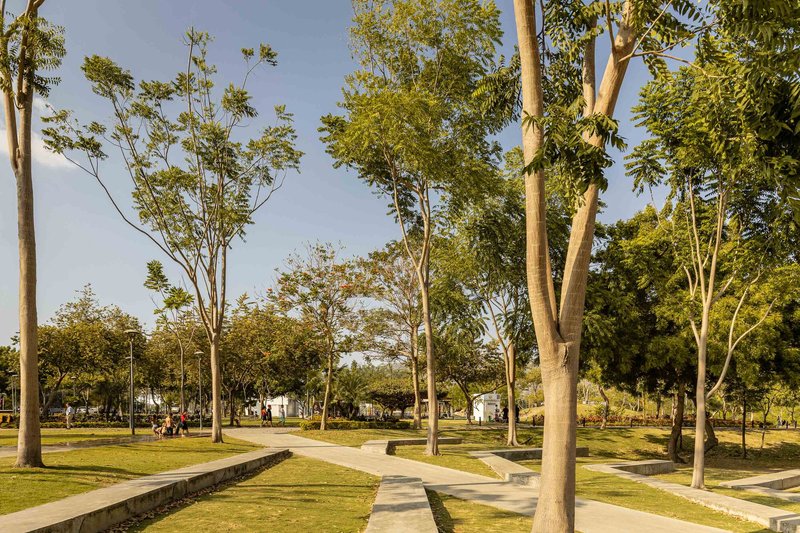 Park pathways winding through sunken lawn panels and newly planted trees in afternoon light