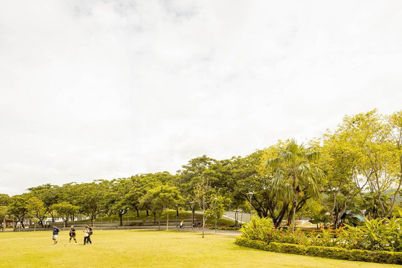 Open lawn with children playing beneath a canopy of mature trees and cloudy sky