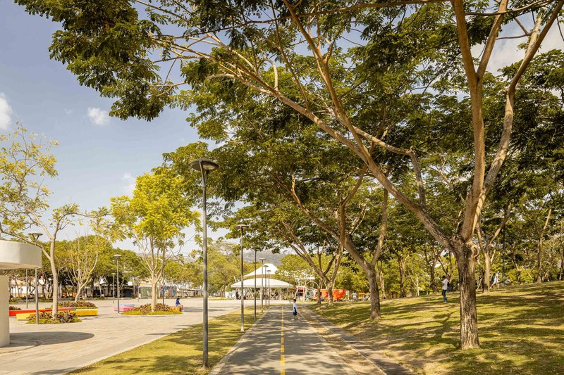Tree-lined walkway through the park with pavilions visible in the distance under blue sky