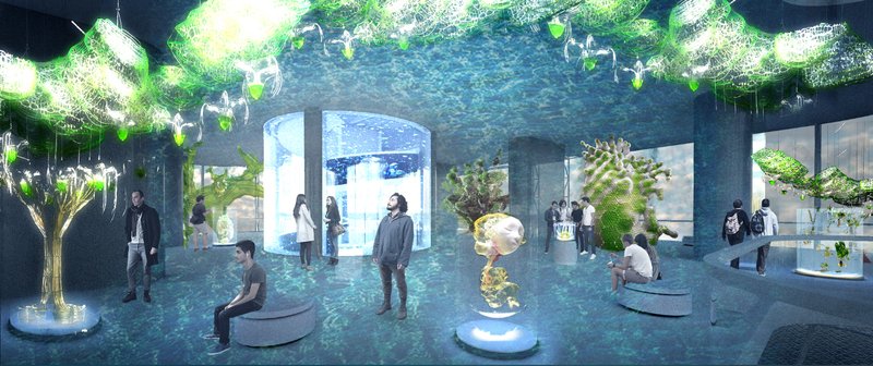 Hall of Proximity immersing visitors within marine ecosystems and bio-digital installations.