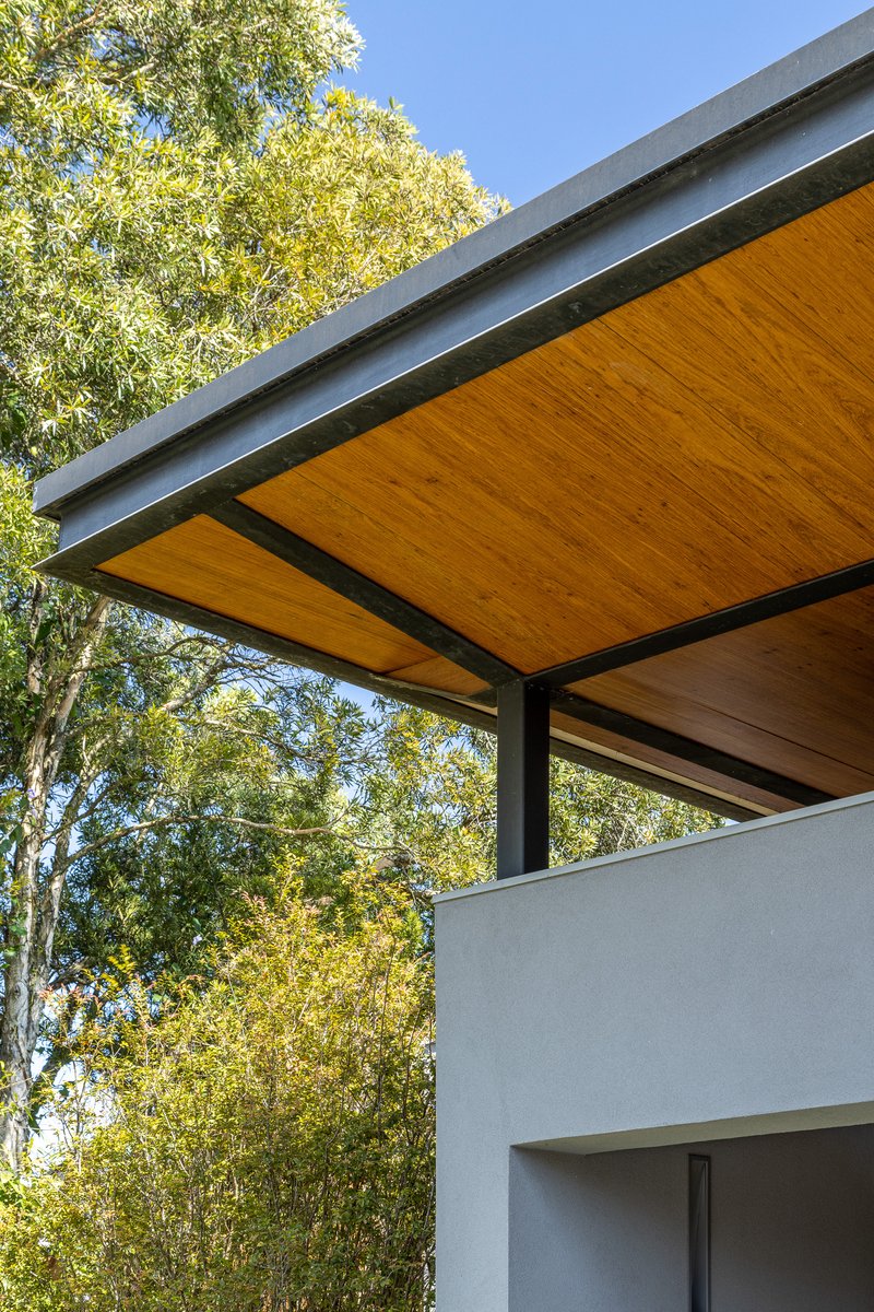 Cantilevered roof edge with timber soffit and steel fascia against deciduous tree canopy