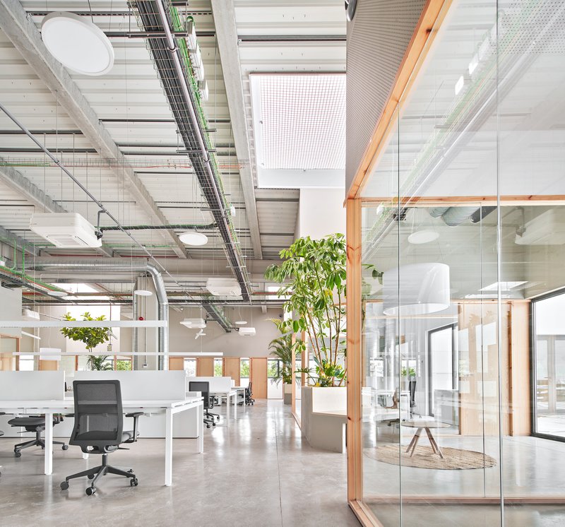 View through glass partitions showing workstations with planted palms beneath exposed mechanical systems