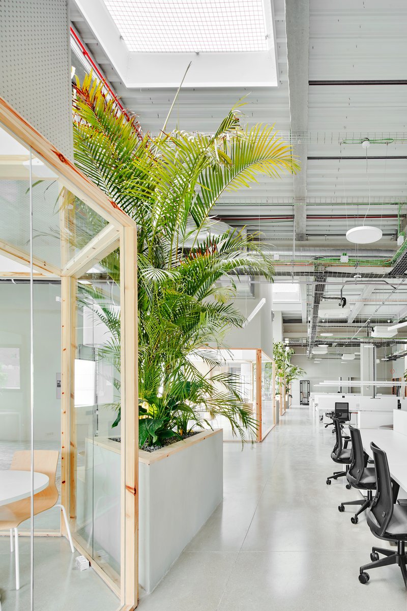 White planter box with tall palms adjoining a timber and glass enclosed workspace