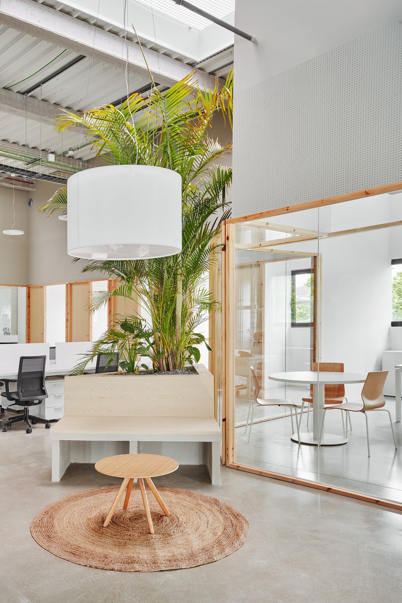 Raised timber planter with palms and pendant light beside a low bench and meeting room