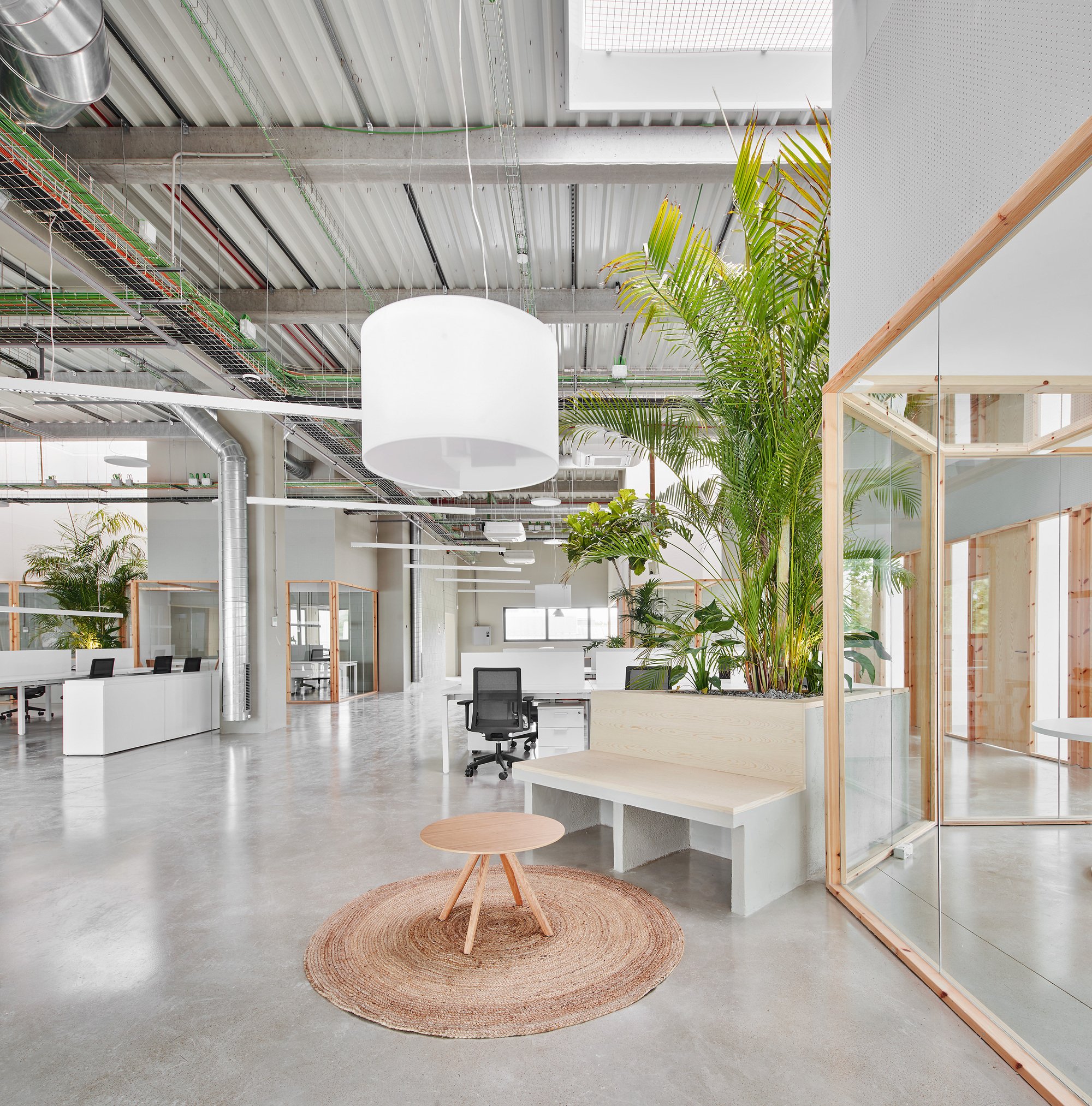 Manu Pages Taller d'Arquitectura Plants a Palm Grove Inside a Barcelona Warehouse for GPA Offices