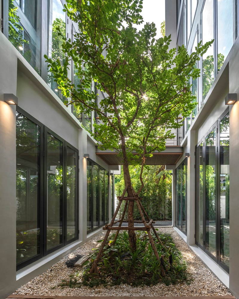 Internal courtyard with single tree on gravel bed flanked by glass walls at dusk
