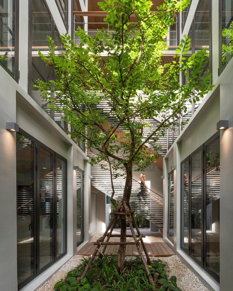 Courtyard with tree and figure walking beneath timber bridge linking two wings at twilight