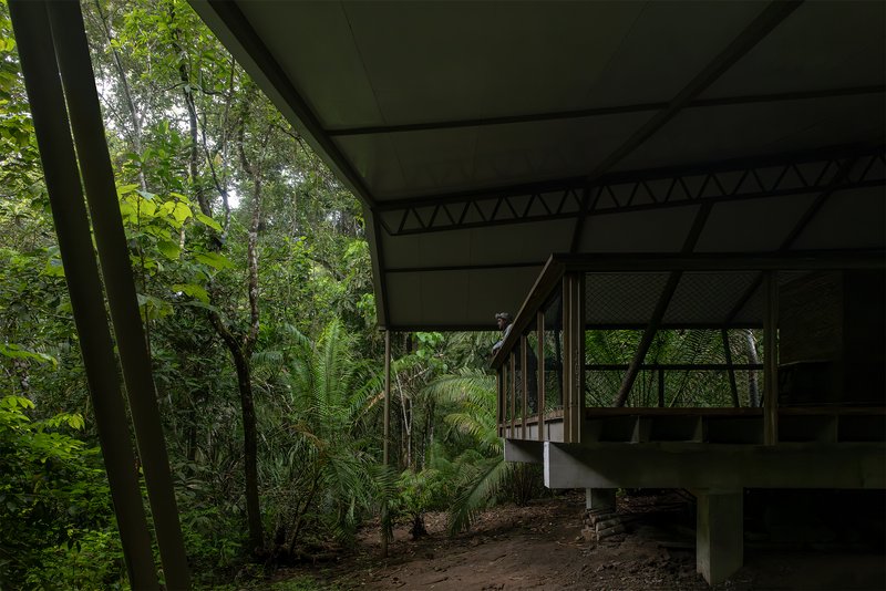 Covered terrace with triangulated truss ceiling and mesh enclosure looking into the forest