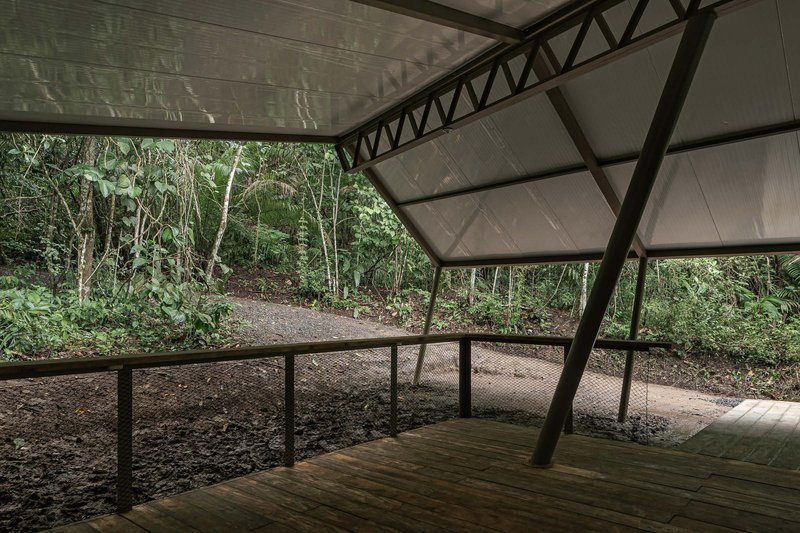 Elevated platform edge with metal railing and diagonal steel supports framing the forested hillside beyond