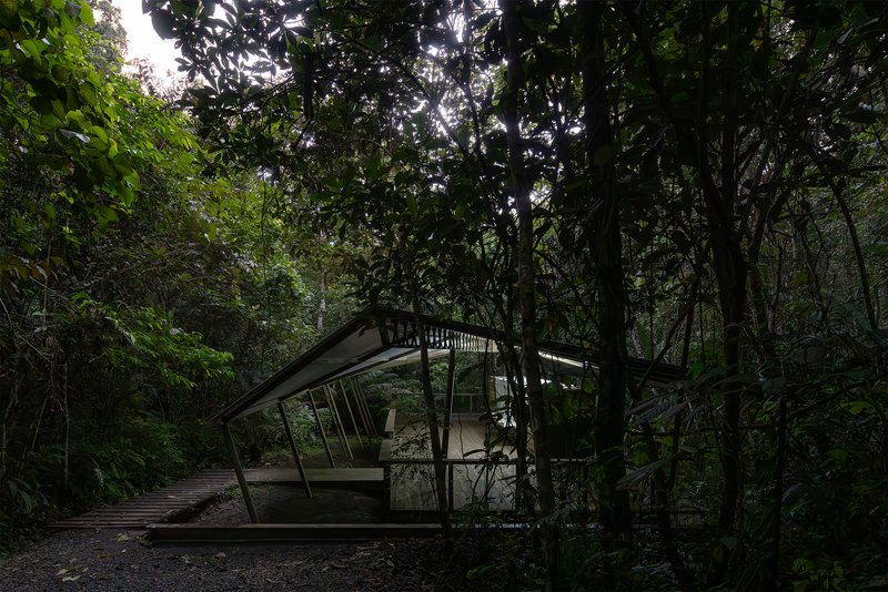 Glass-enclosed volume beneath a cantilevered roof visible through tree trunks at dusk
