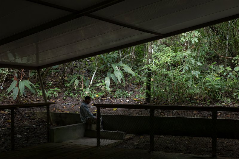 Concrete bench and metal railing beneath a sloped roof overlooking the forest floor