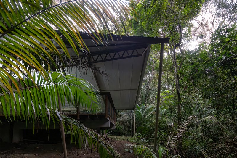 Cantilevered volume with exposed steel truss roof rising above the jungle on concrete piers