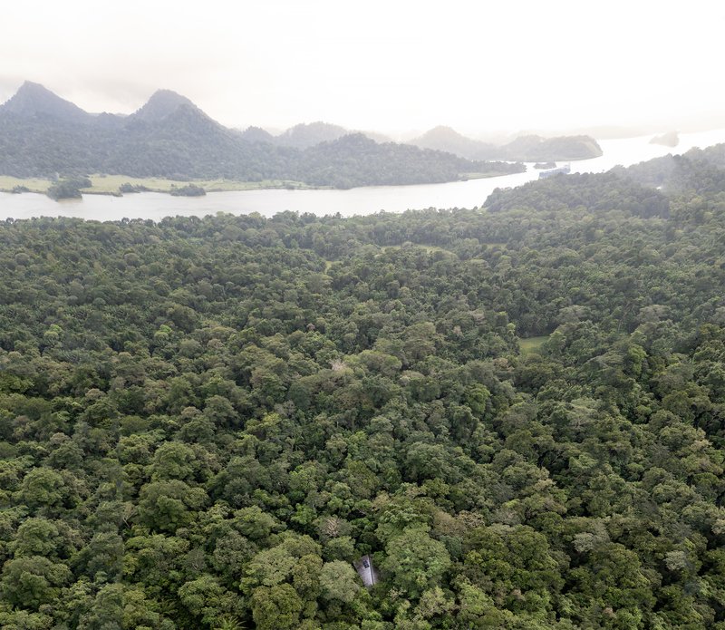 Distant view of forested mountains and waterways with the roof barely visible among the trees