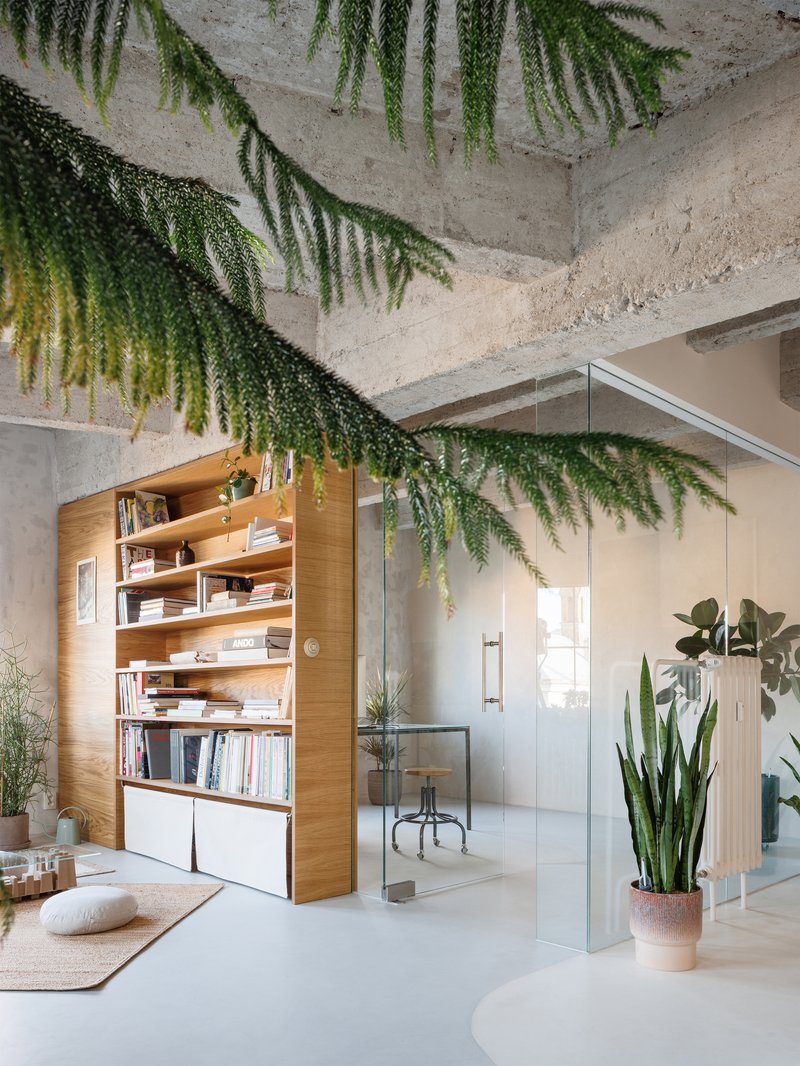 Glass partition and oak bookcase beneath cascading foliage plants suspended from concrete ceiling