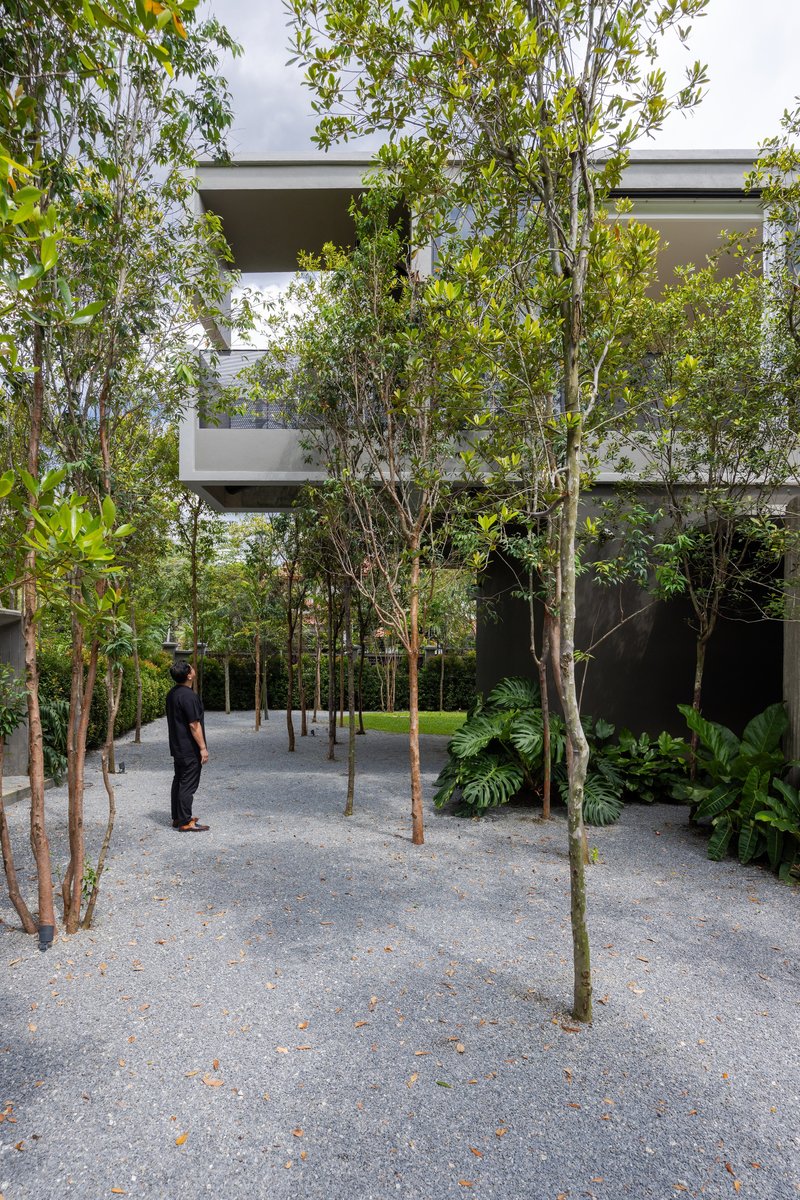 Courtyard with gravel surface and slender trees framing a person standing beneath the cantilevered upper level