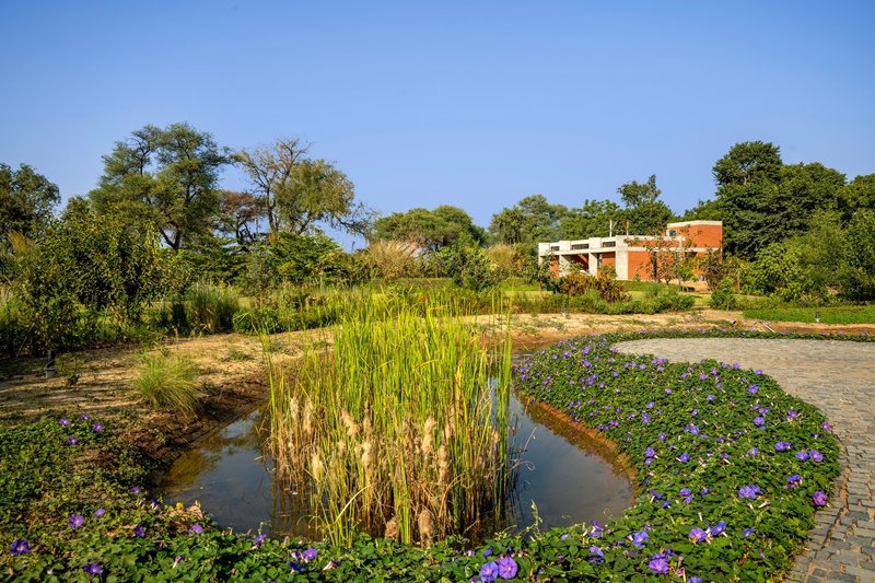 Water feature with purple flowering plants and reeds beside the brick structure in the landscape