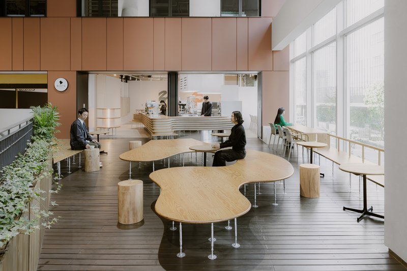 Multi-level cafe space with curving plywood tables on dark timber decking under pink paneled walls