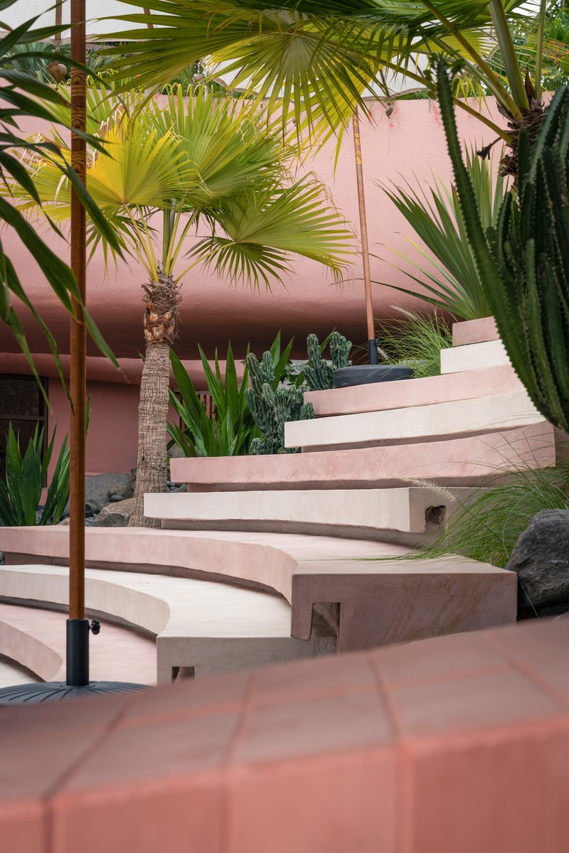 Detail of pink stepped seating with integrated timber blocks surrounded by fan palms and succulent plantings