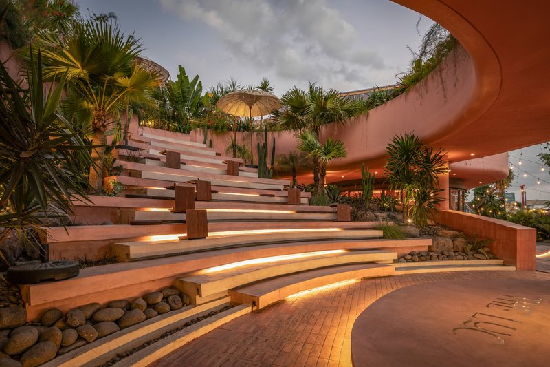 Curved outdoor amphitheater steps with integrated lighting and potted cacti beneath a sweeping terracotta canopy