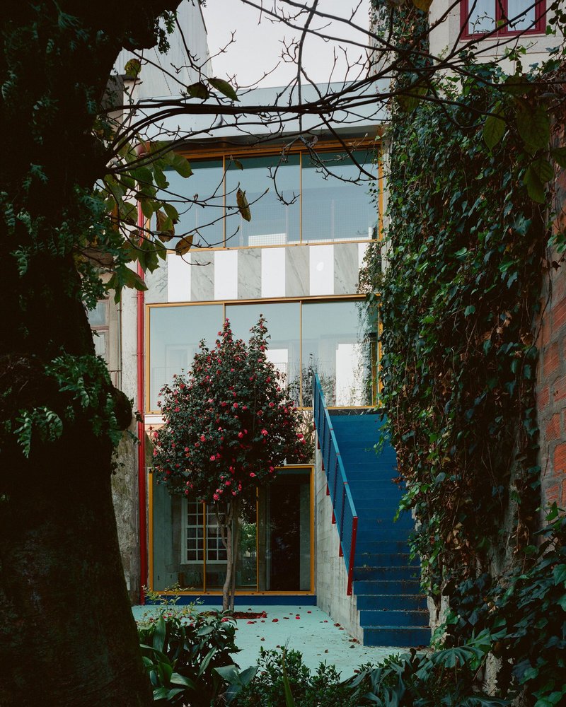 Courtyard view with glazed facade, blue exterior stair, and small flowering tree framed by ivy-covered walls
