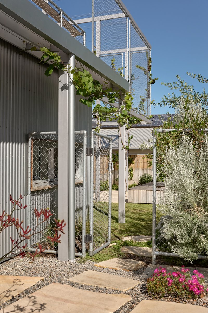 Corrugated metal facade with white steel columns supporting a mesh canopy and climbing vines