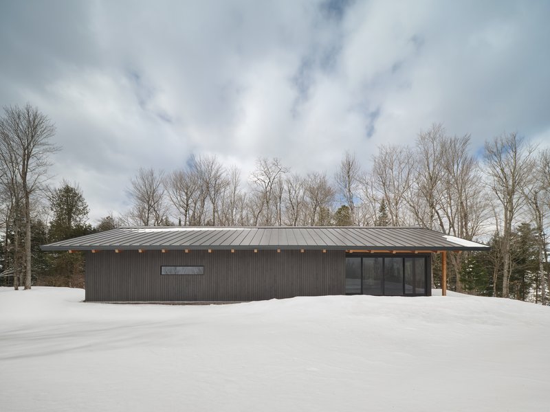 Single-story volume with dark corrugated siding and standing seam metal roof set in a snow-covered clearing