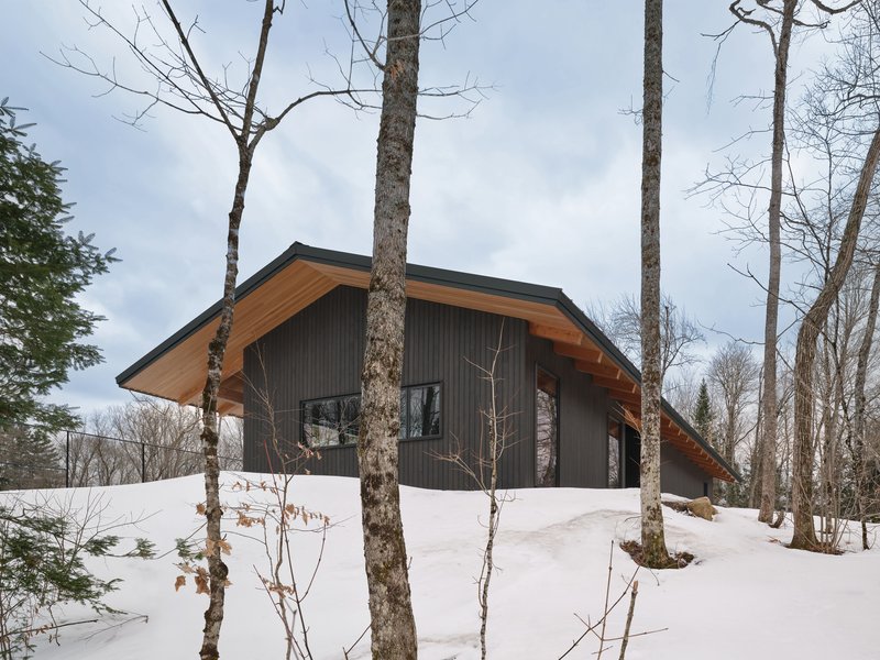 Gabled facade with exposed timber eaves and dark vertical cladding framed by bare winter trees
