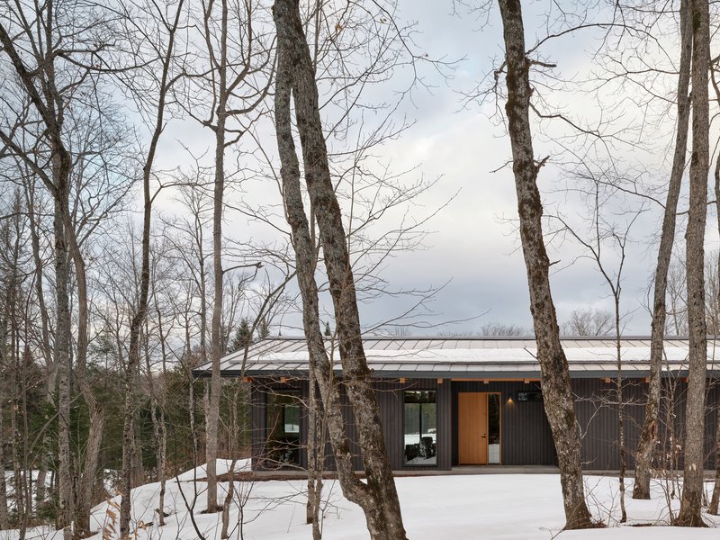 Low-slung metal roof and timber-clad entry viewed through bare winter trees in a snowy landscape
