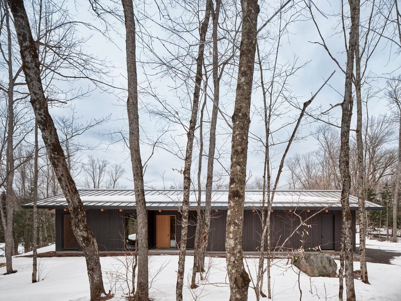 Facade with dark vertical cladding and timber entry door framed by leafless trees in winter